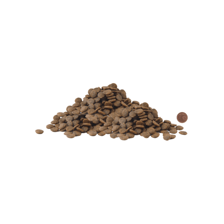 small and medium croquetas.png
