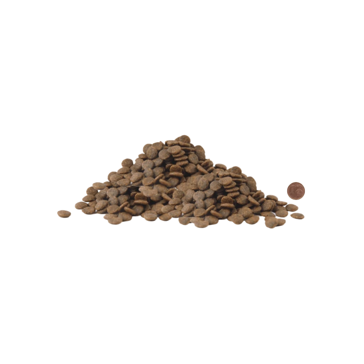 small and medium croquetas.png