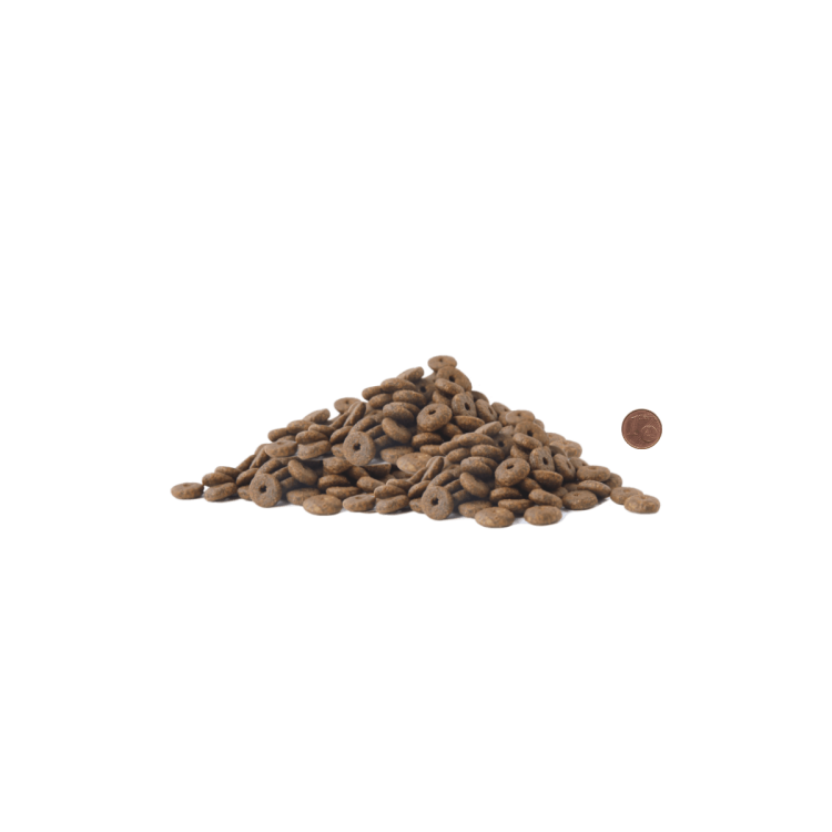 special croquetas.png