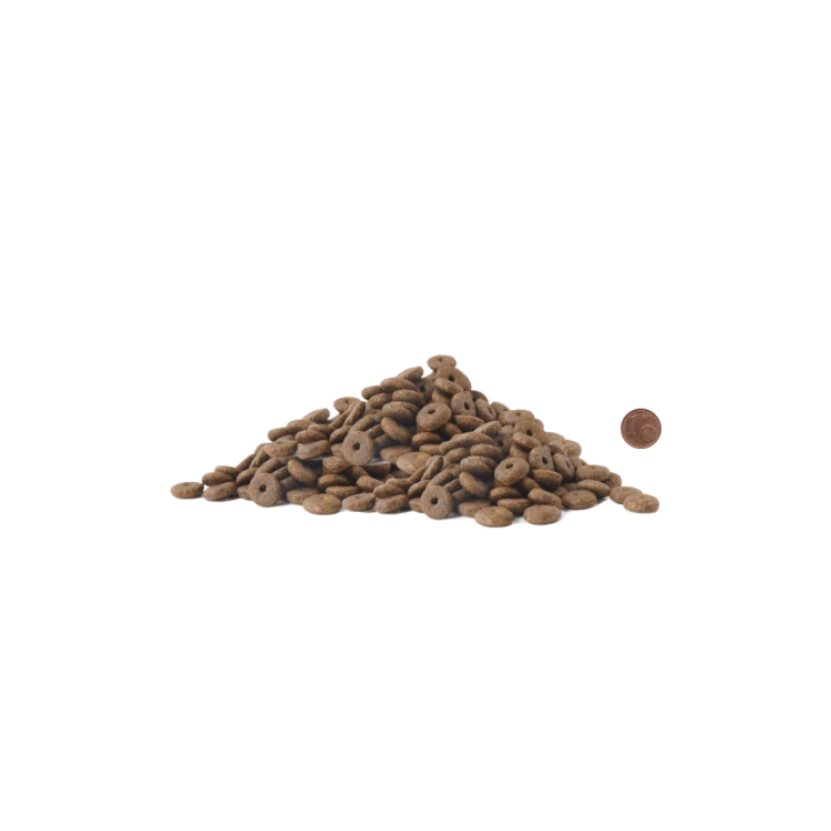 special croquetas.png