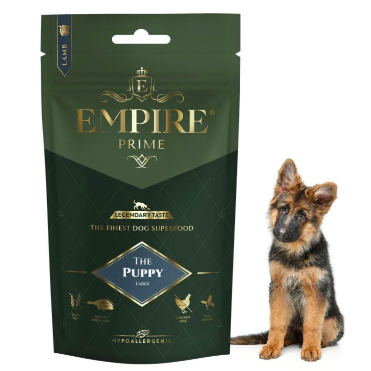 Pastores Alemanes cachorros 50g.jpg