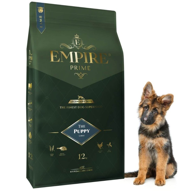 Pastores Alemanes cachorro 12kg.jpg