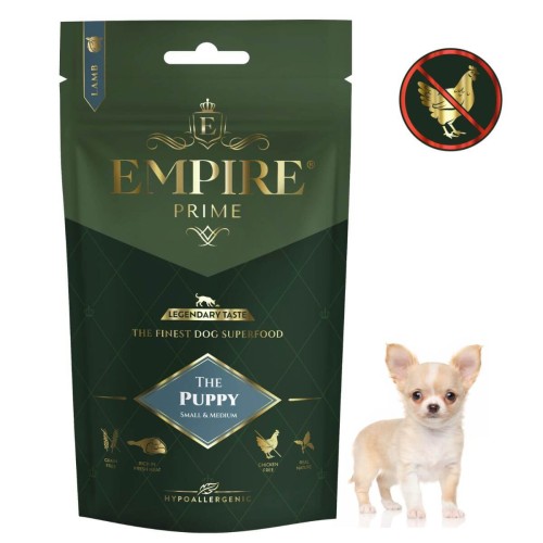 Puppy Chihuaha 50g.jpg