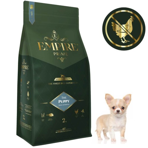 Puppy Chihuahua 2kg.jpg