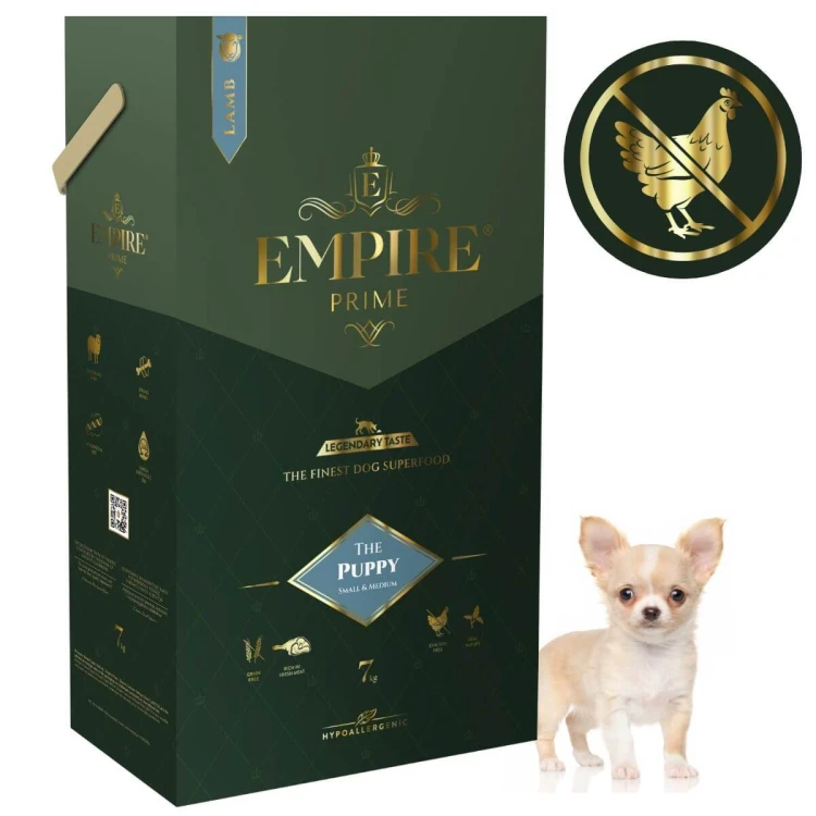 Puppy Chihuahua 7kg.jpg