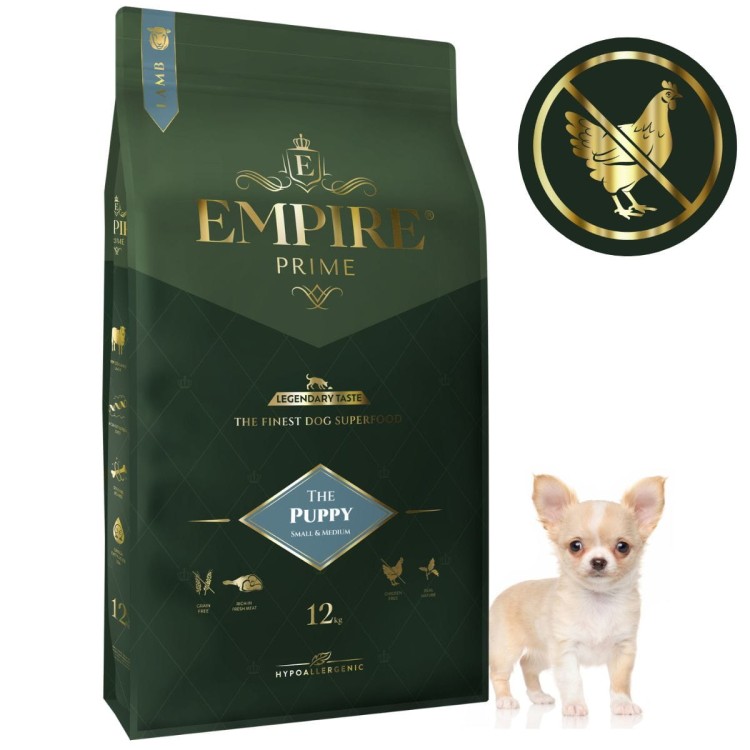 Puppy Adult Chihuahua 12kg.jpg