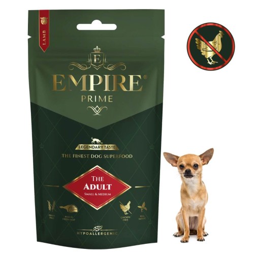 Adult Chihuaha 50g.jpg