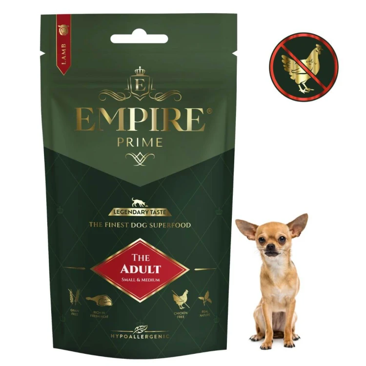 Adult Chihuaha 50g.jpg