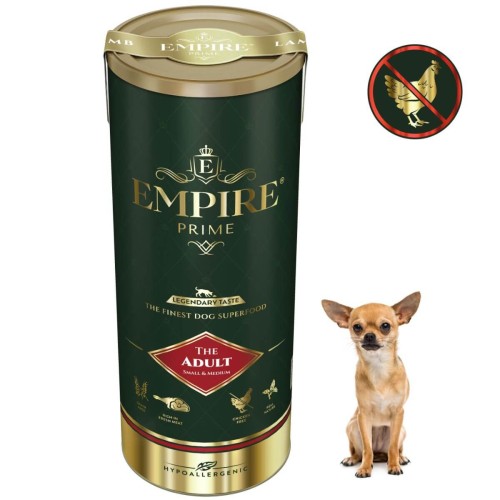 Adult Chihuaha 340g.jpg