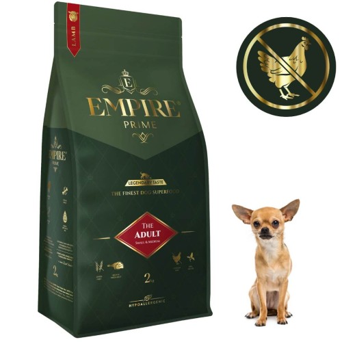 Adult Chihuahua 2kg.jpg
