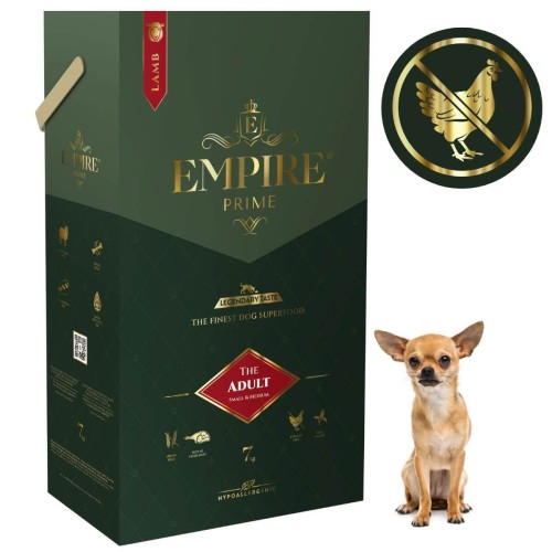 Adult Chihuahua 7kg.jpg