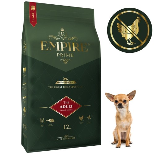 Adult Chihuahua 12kg.jpg