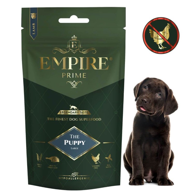 Puppy Labrador 50g.jpg