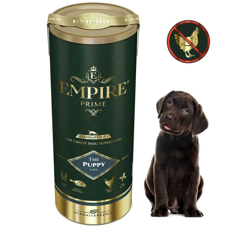 Puppy Labrador 340g.jpg