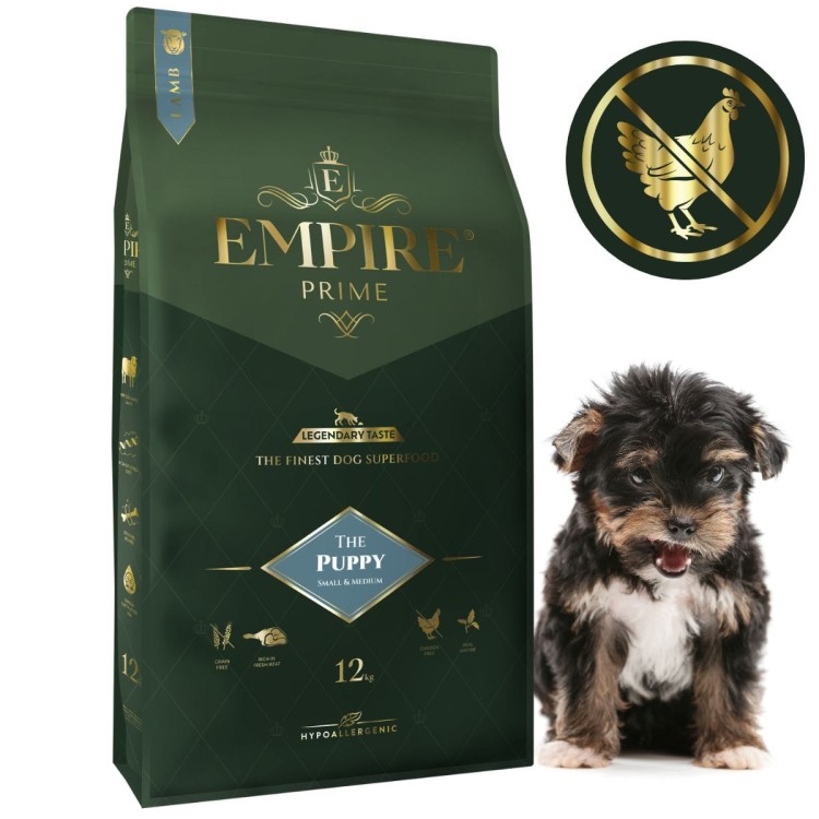 Puppy York 12kg.jpg