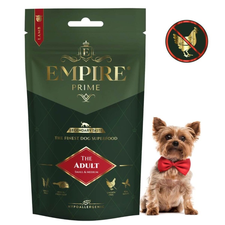 Adult York 50g.jpg