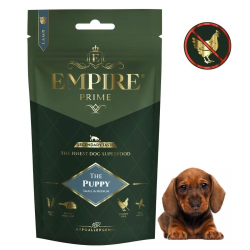 Puppy Dachshund 50g.jpg