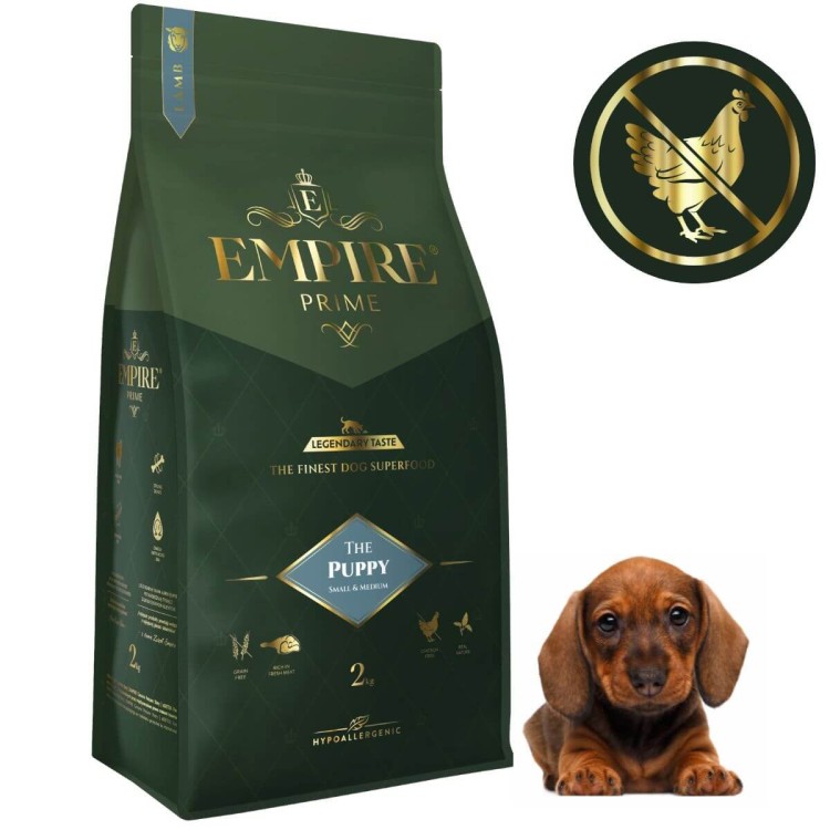 Puppy Dachshund2kg.jpg