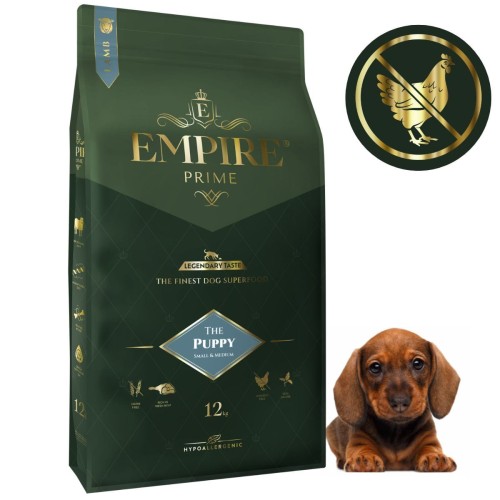 Puppy Dachshund 12kg.jpg