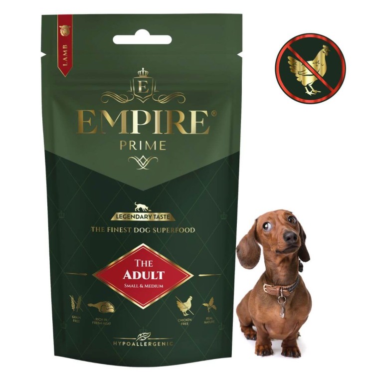 Adult Dachshund 50g.jpg