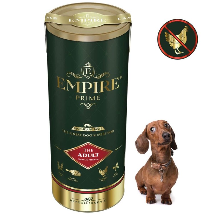 Adult Dachshund 340g.jpg