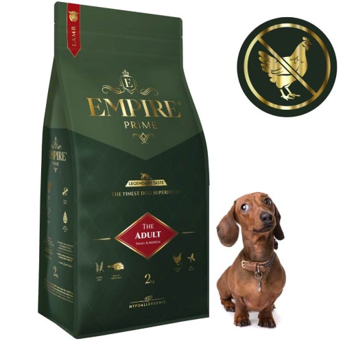 Adult Dachshund 2kg.jpg