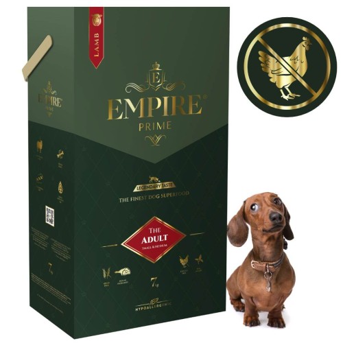 Adult Dachshund 7kg.jpg