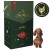 Adult Dachshund 7kg.jpg