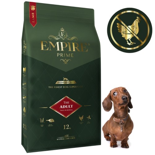 Adult Dachshund 12kg.jpg