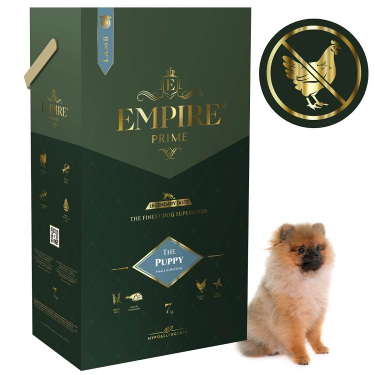 Puppy Pomerania 7kg.jpg