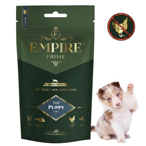 Puppy Border Collie 50g.jpg