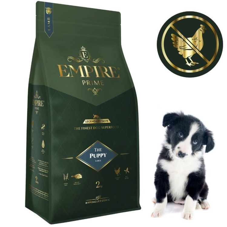 Puppy border collie 2kg.jpg