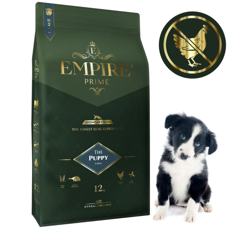Puppy border collie 12kg.jpg