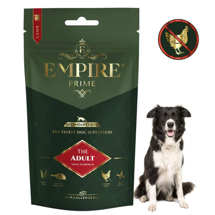 Adult border collie 50g.jpg