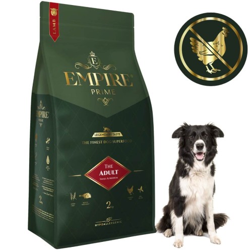 Adult border collie 2kg.jpg