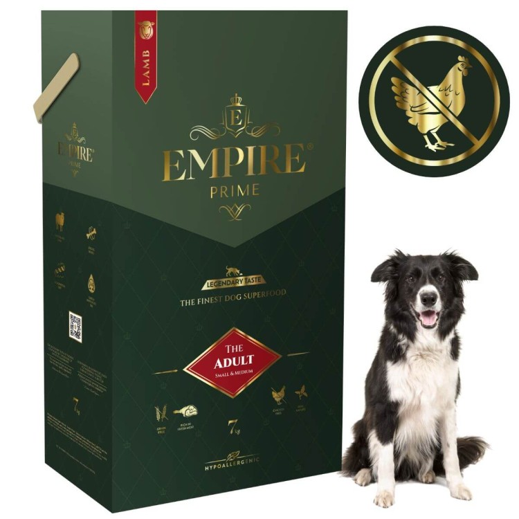 Adult border collie 7kg.jpg