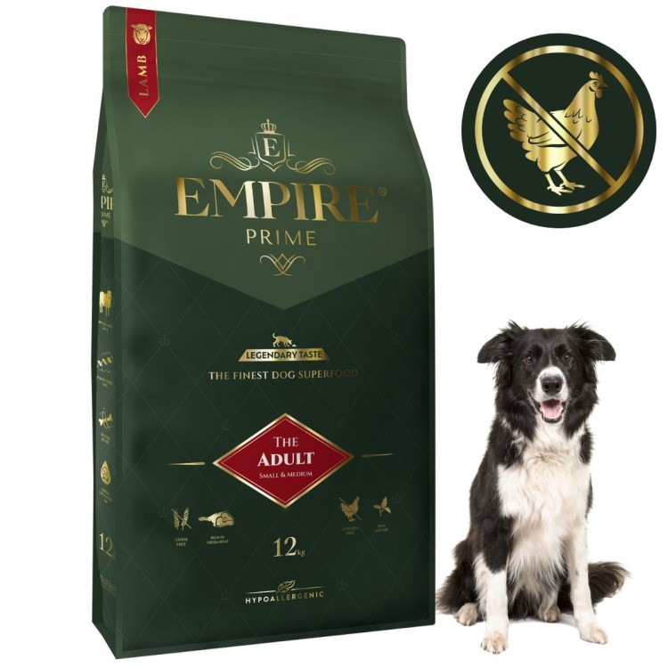 Adult border collie 12kg.jpg