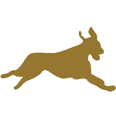 run